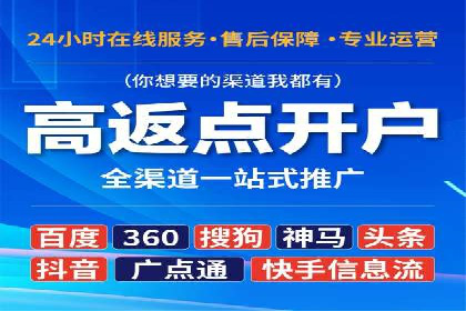 Sem优化公司案例：精准广告投放策略解析